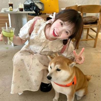 爱情不轮转
